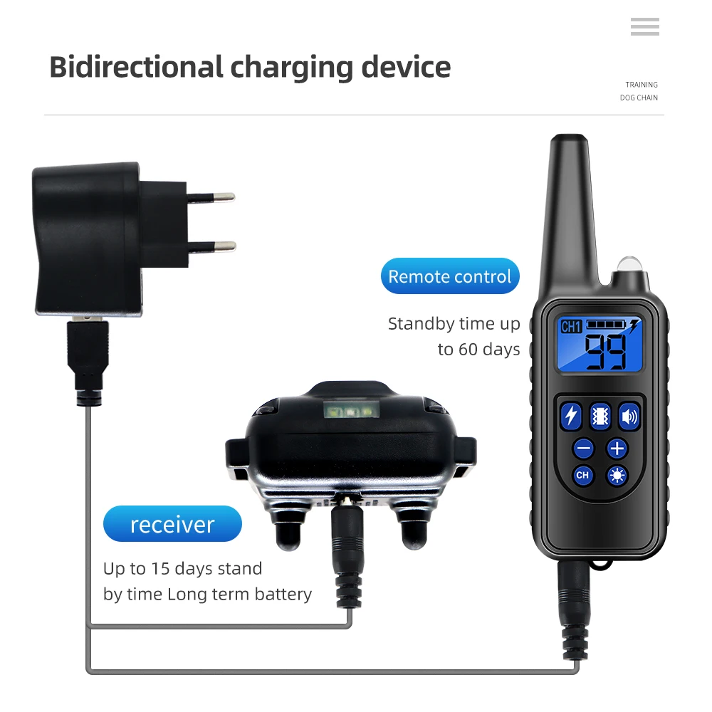 View 4
