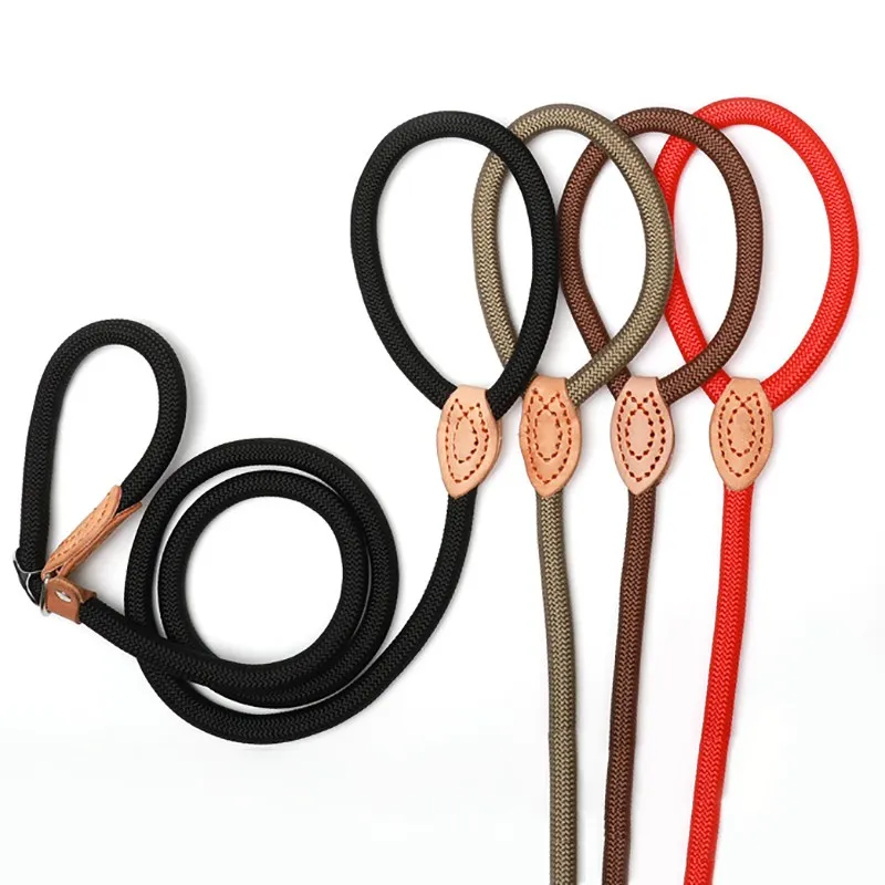 Dog Leash Slip Rope Lead Leash Heavy Duty Braided Rope Adjustable Loop Collar Training Leashes for 1005002632545480