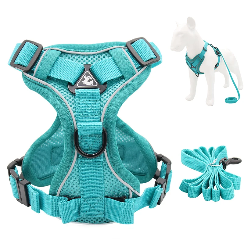 Reflective Pet Dog Harness and Leash Set for Small Medium Dogs Mascotas Accessories Yorkies Puppy 1005003756440213