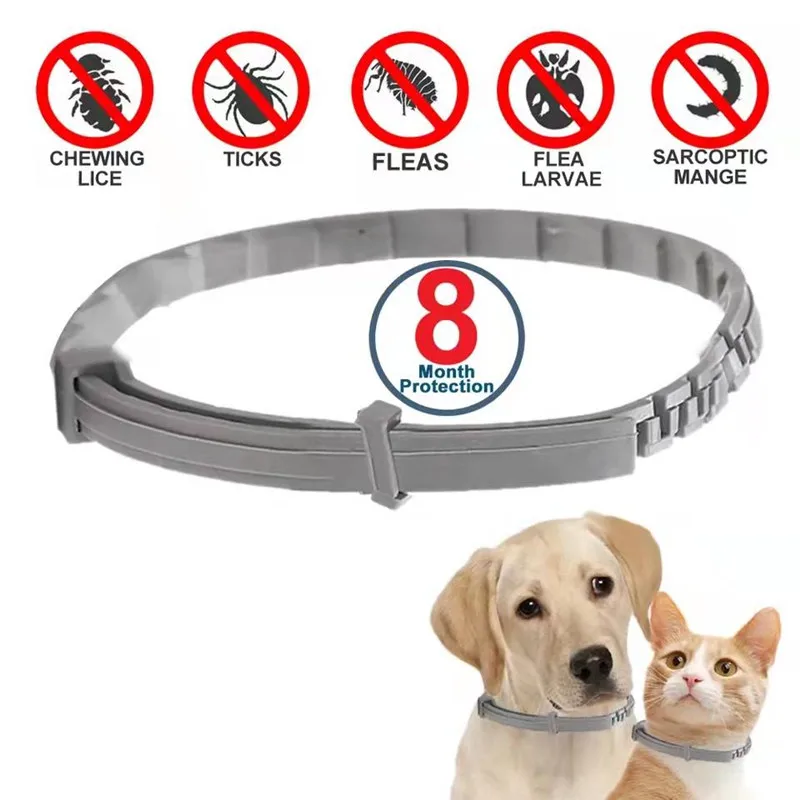 Dog Anti Flea And Ticks Cats Collar Pet 8Month Protection Retractable Pet Collars For Puppy Cat 1005004253052905