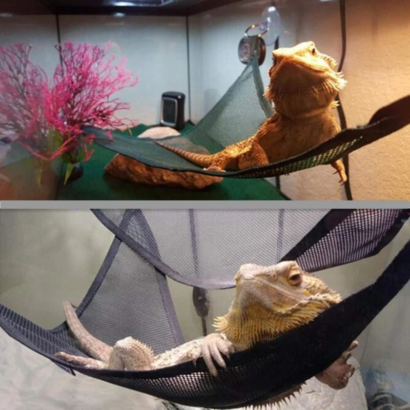Reptile Hammock Lounger Ladder Accessories Set for Large Small Bearded Dragons Anole Geckos Lizards 1005004291707689