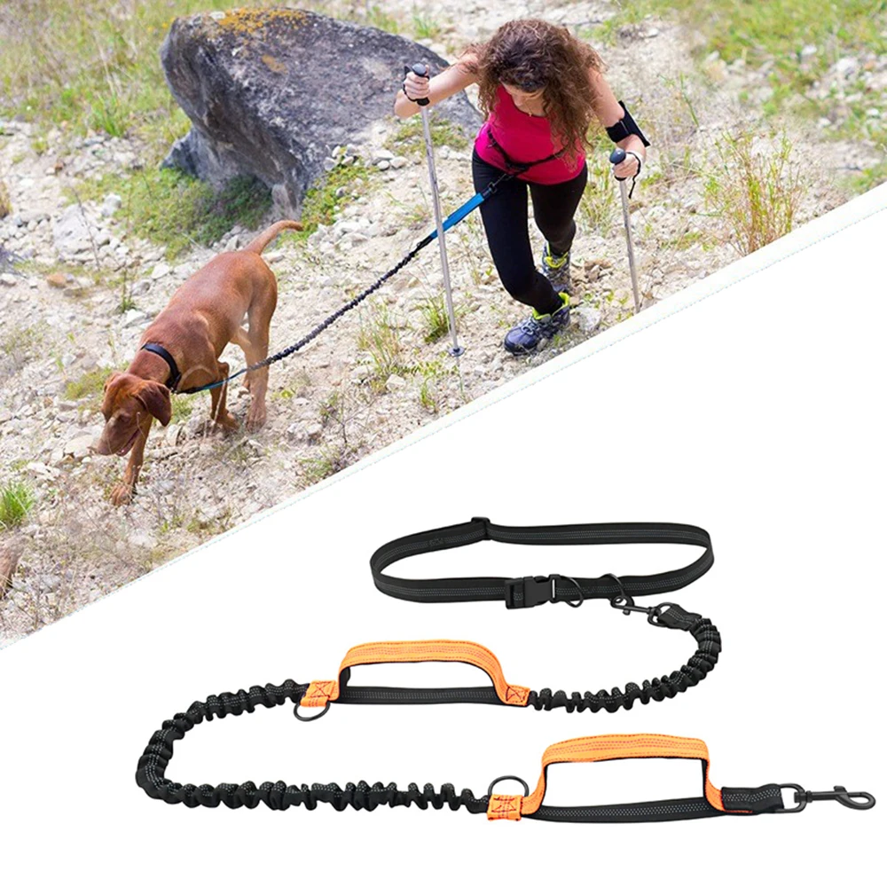 Retractable Hands Free Dog Leash For Running Double Handles Elastic Cord Reflective Large Dog Leash 1005005281988979