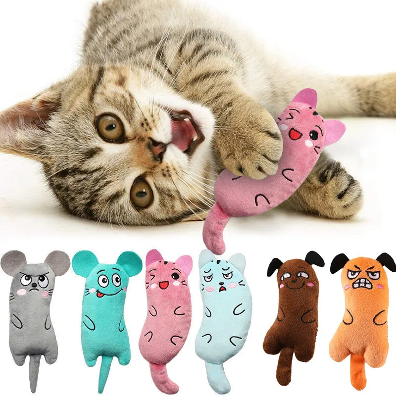 Cute Cat Toys Funny Interactive Plush Cat Toy Mini Teeth Grinding Catnip Toys Kitten Chewing Mouse 1005005866408391