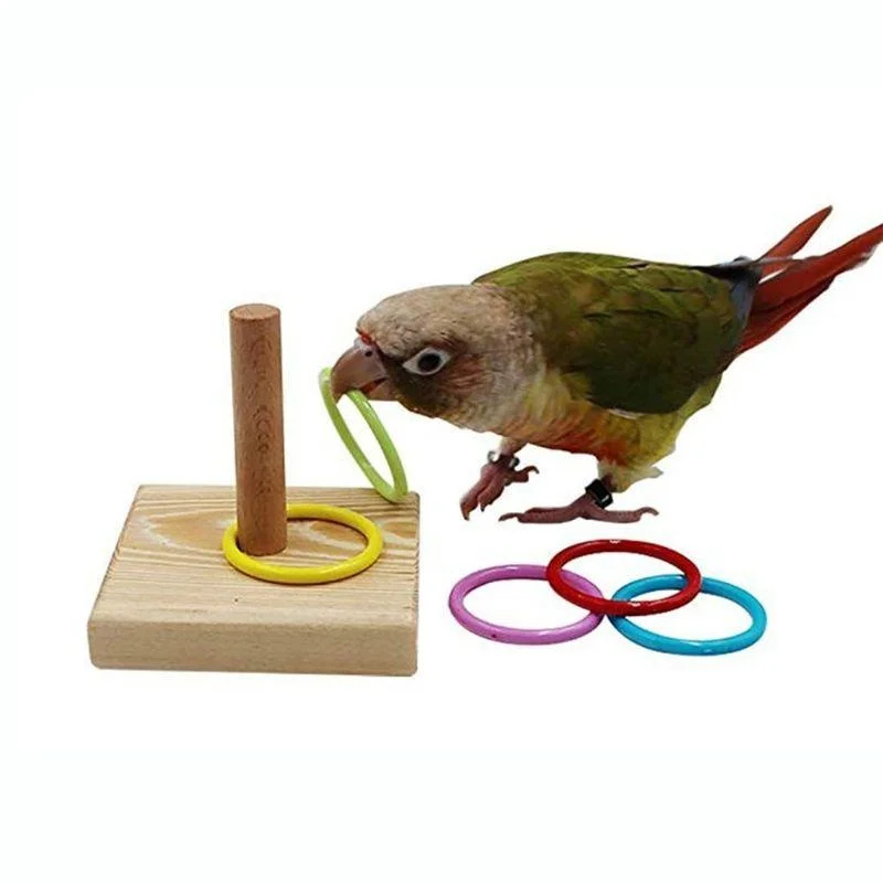 Bird Training Ring Toy Parrot Educational Toys Training Interactive Bird Supplies Bird Toys Random 1005006324884209