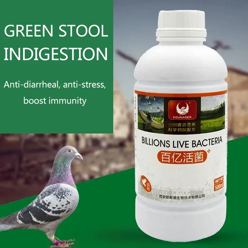 Micro-Ecological Probiotics Tens of Billions of Live Bacteria to Stop Diarrhea and Improve Immunity 1005006644568708