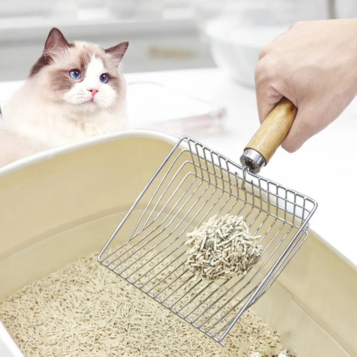 Stainless Steel Cat Litter Shovel Wooden Handle Shovel Easy To Clean Good-Looking Reduce Dust 1005006892778932