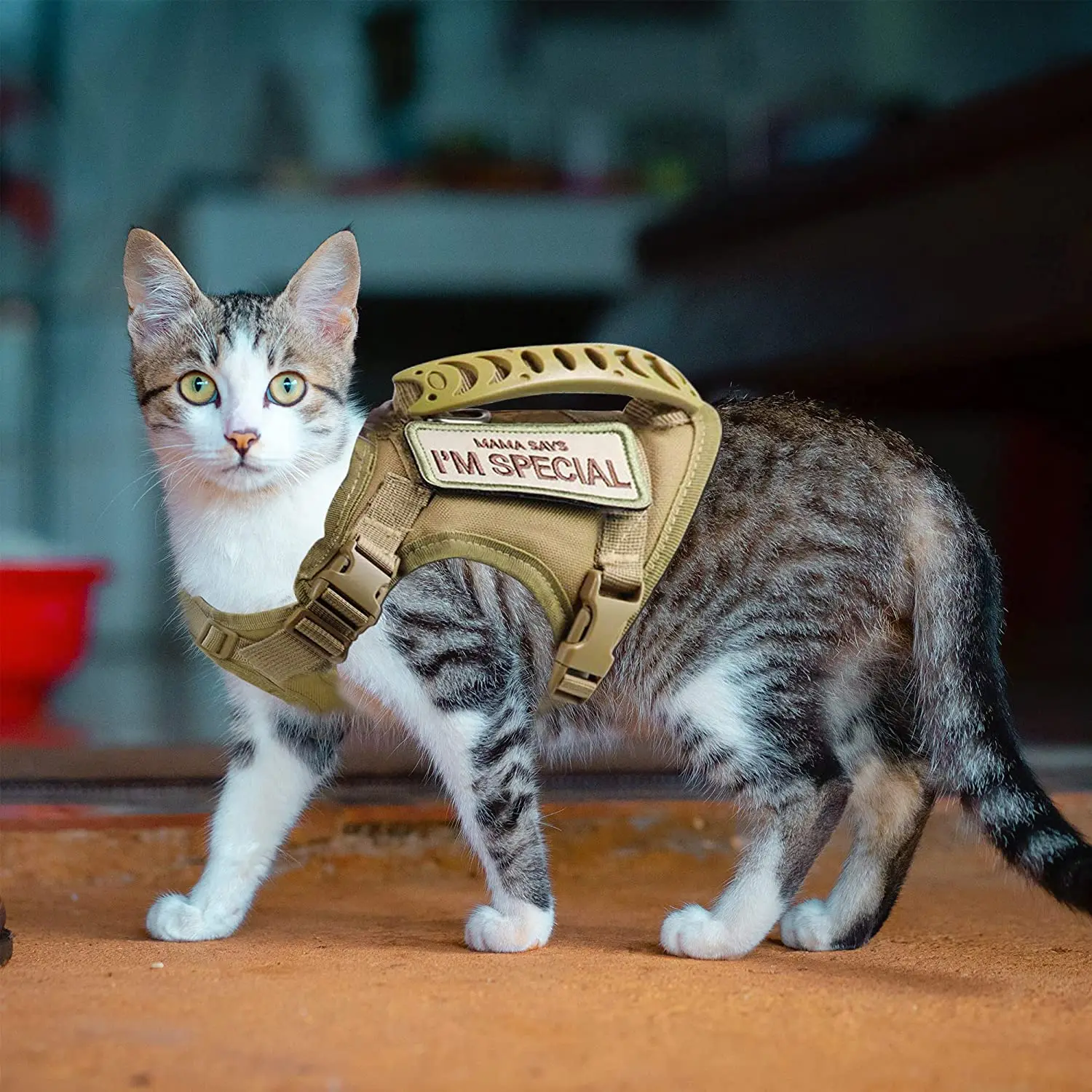 Tactical Cat Harness For Walking Escape Proof Adjustable Pet Vest Harness Soft Mesh With Control 1005007134922270