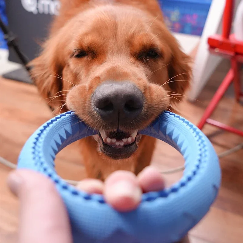 Dog Toy Training Ring Puller Puppy Flying Disk Aggressive Chewing Toys Outdoor Pet Game Anti-Bite 1005007169171921