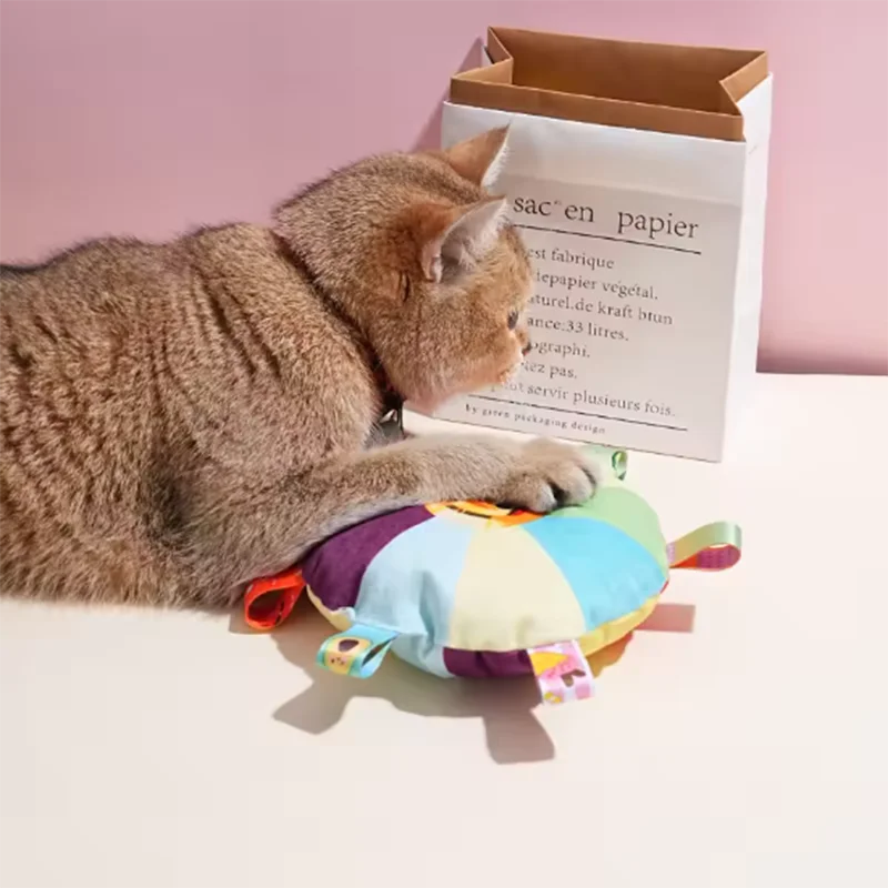 Interactive Ball Toys With Grab Tabs Dog Bite Chew Balls Pets Accessories Puppy Outdoor Training 1005007170161072