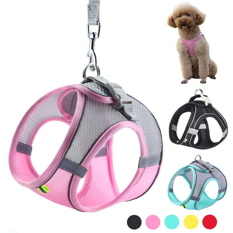 Puppy Harness Set Dog Accessories Adjustable Puppy and Cat Harness Vest French Bulldog Chihuahua 1005007217797546