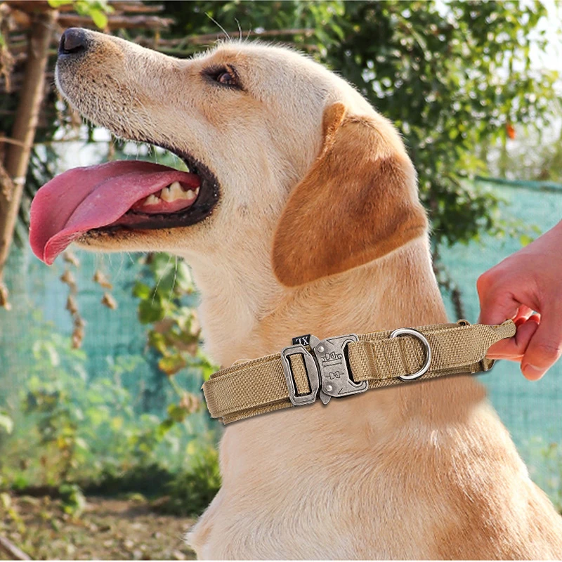 Dog Collar Leash Set Nylon Material Durable Dog Collar Reflective Leash Pet Tactical Training Dog 1005007228095202