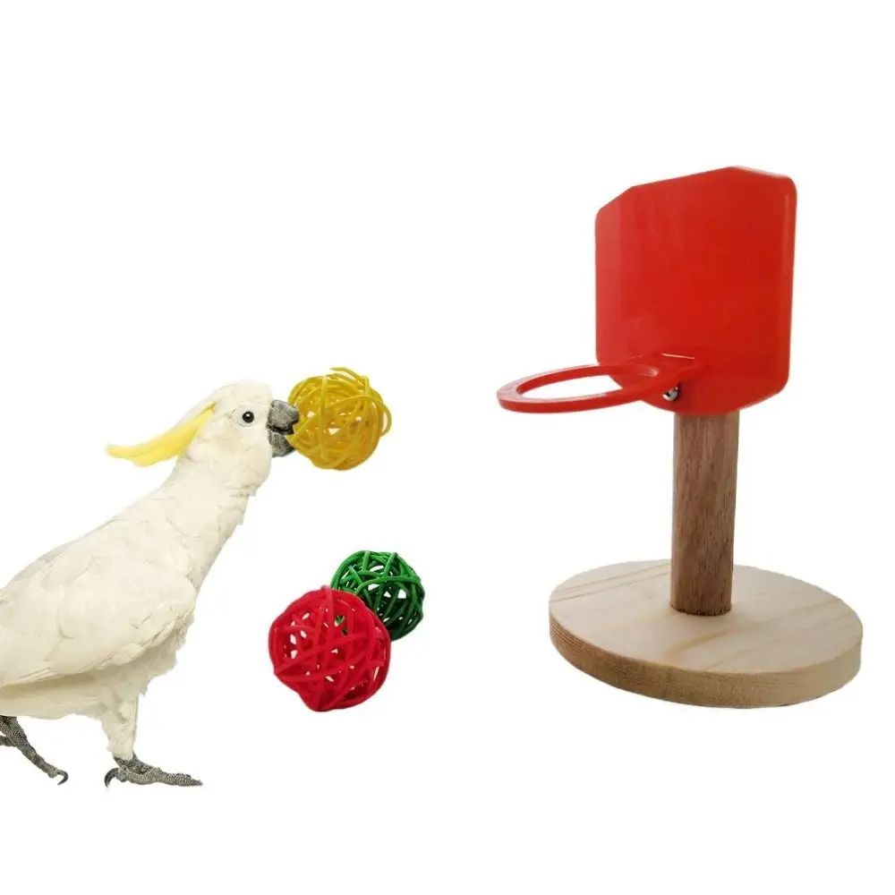 Bird Basketball Toy Mini Basket Frame Toy with Chew Ball Parrot Training Foraging Toys Bird 1005007243737498