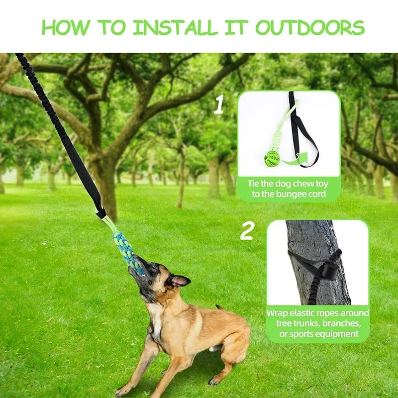 Dog Ball Toy with Rope Interactive Leaking Balls for Small Large Dogs Bite Resistant Chew Toys 1005007425564044