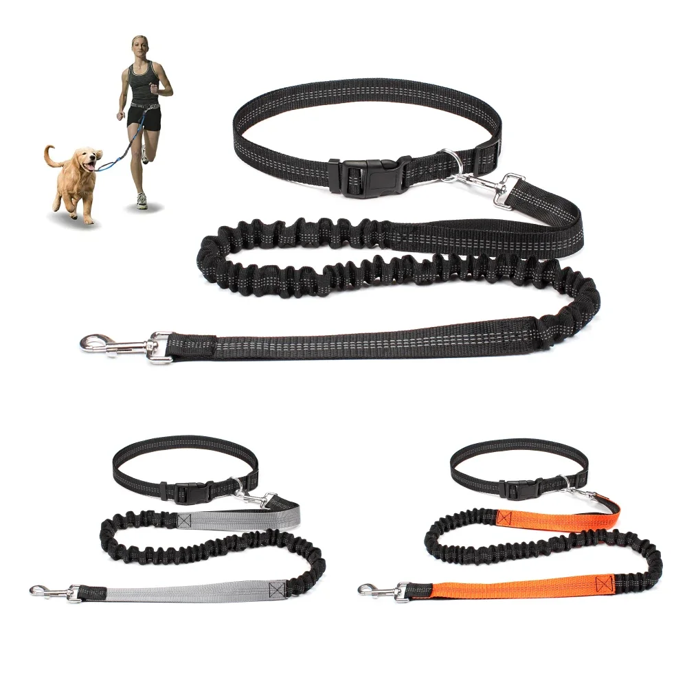 Hand Free Dog Leash for Pet Walking Running Jogging Adjustable Waist Belt Chest Strap 1005007512327697