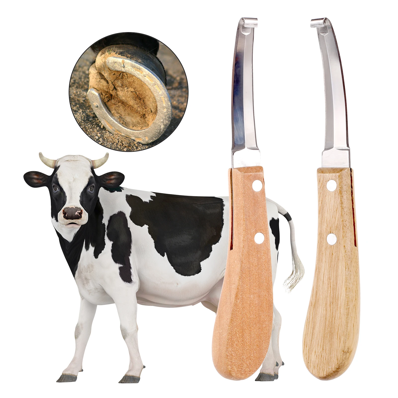 Cattle and Horse Hoof Knife Stainless Steel Hook Type Sheep Pedicure Right/Left Hand With (1 Pc) 1005007606070994