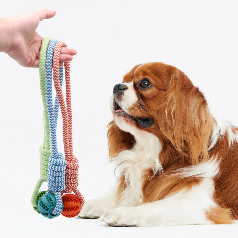 Dog Ball Toy with Rope Interactive Leaking Balls for Small Medium Dogs Chewing Bite Resistant Pet 1005007923304015