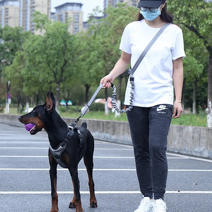 Hand Free Dog Leash for Pet Walking Running Jogging Adjustable Waist Belt Chest Strap 1005007981156952