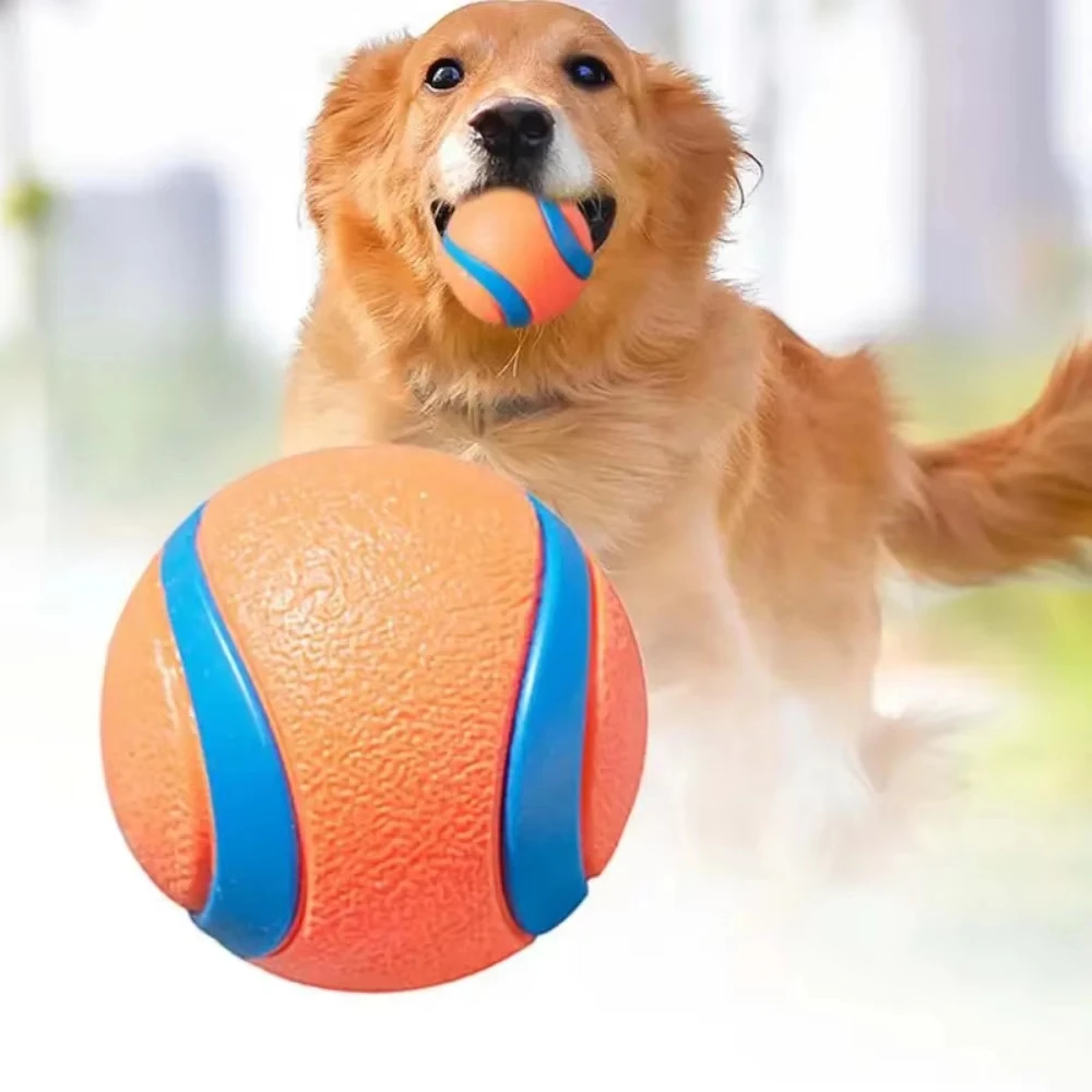 Dog Toy Ball Dog Fetch Ball Toy Tough Pet Ball Puppy Chew Toy Solid Elastic Jumping Ball Pet 1005008295562267