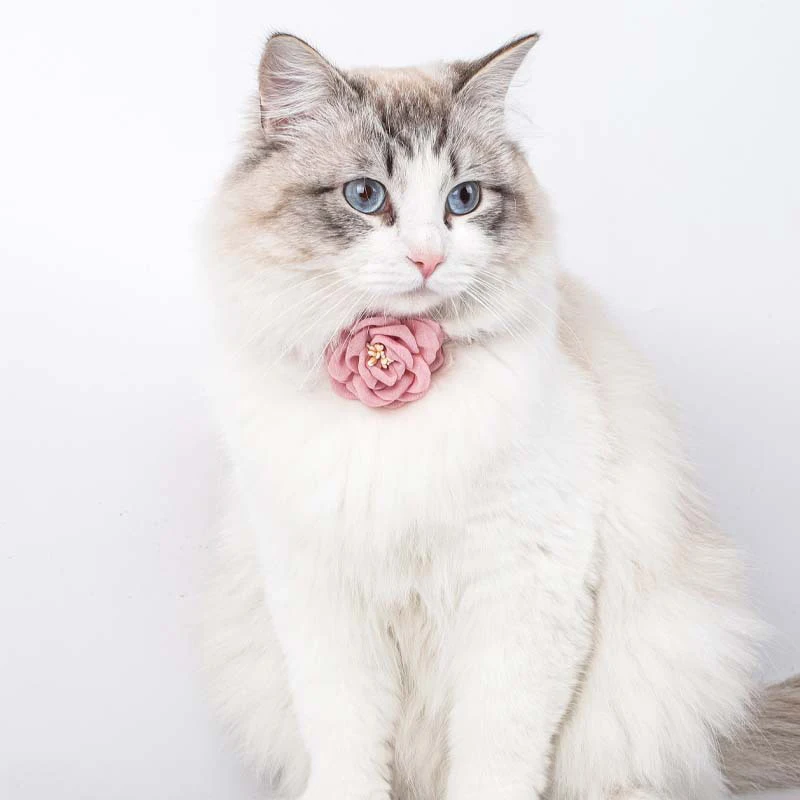 Cat Collar Adjustable Bow Tie Cat Flower Collar Safety Button Tie Necklace Puppy and Cat Gift Pet 1005008788648625