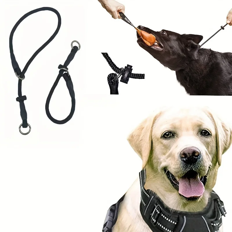 Polyester Fiber Dog Training Leash with Adjustable Slip Collar 1005008845615369