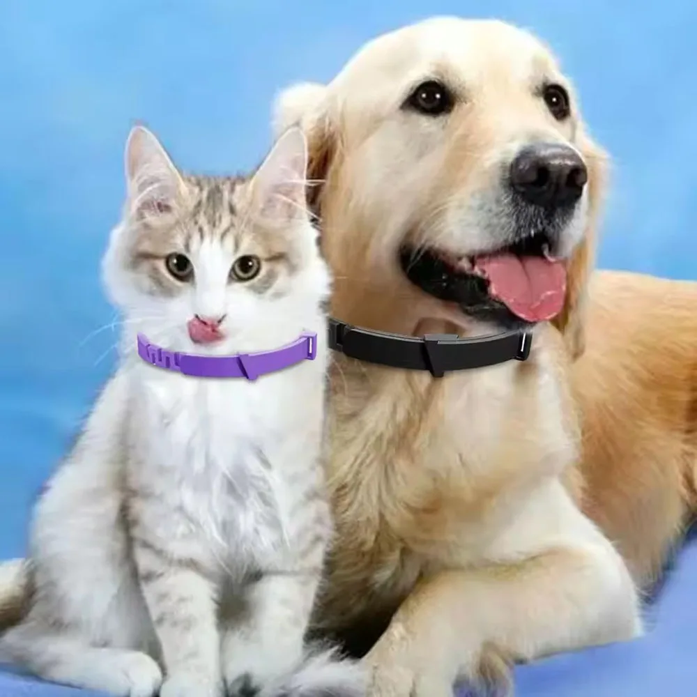 Adjustable Plastic Dog Collar Waterproof Pet Cat Puppy Collar Kitten Collars 70cm 38cm for Small 1005009050247759