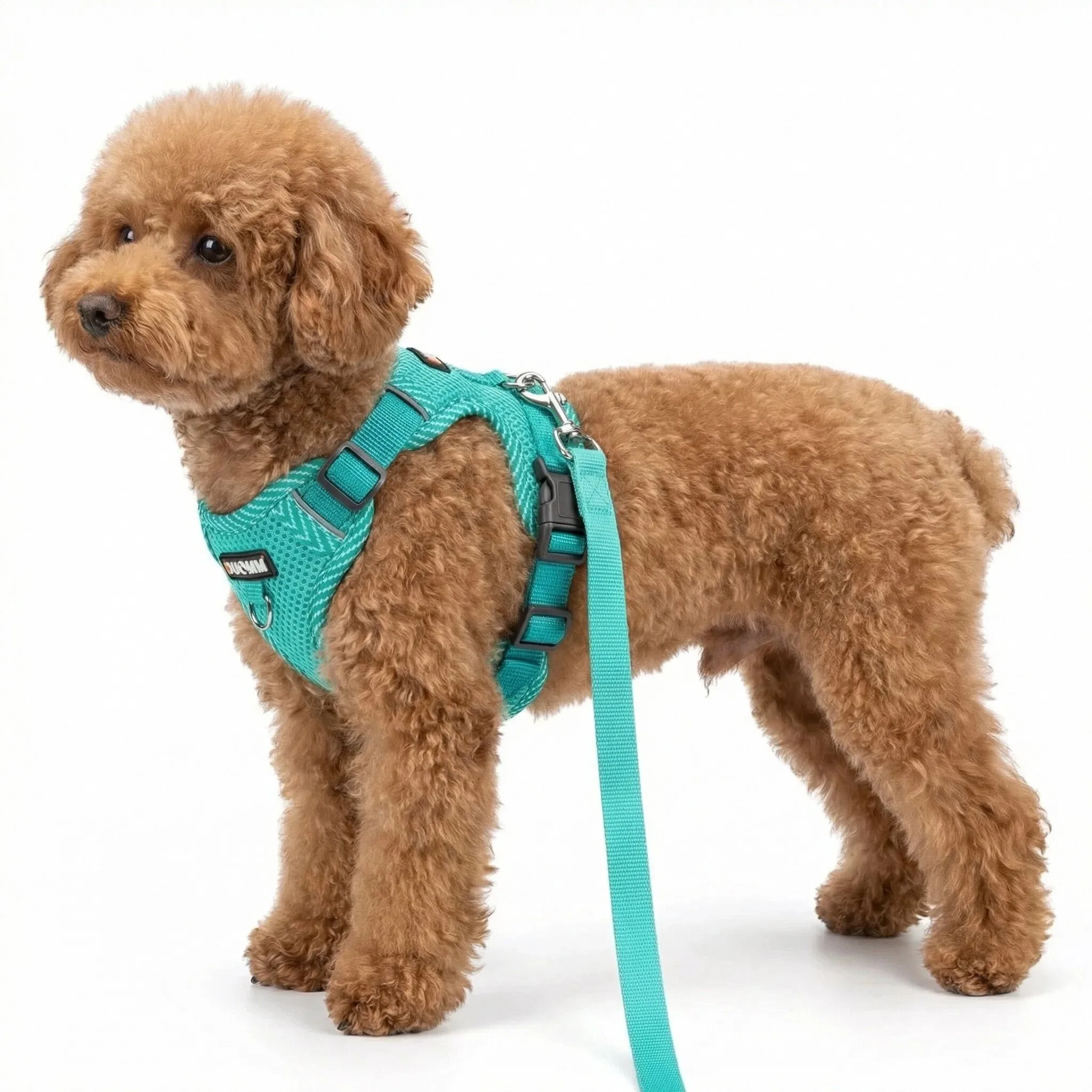 Reflective Breathable Dog Harness and Leash Set Pet Chest Strap Dopamine Pet Supplies Dog 1005009096008655