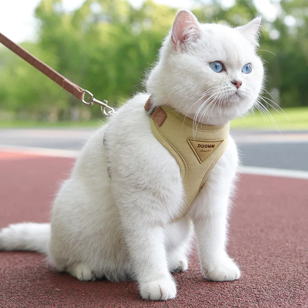Cat Puppy Outdoor Walking Supplies Fashion Pet Harness and Leash Set for Small Dogs Cats Breathable 1005009122672751