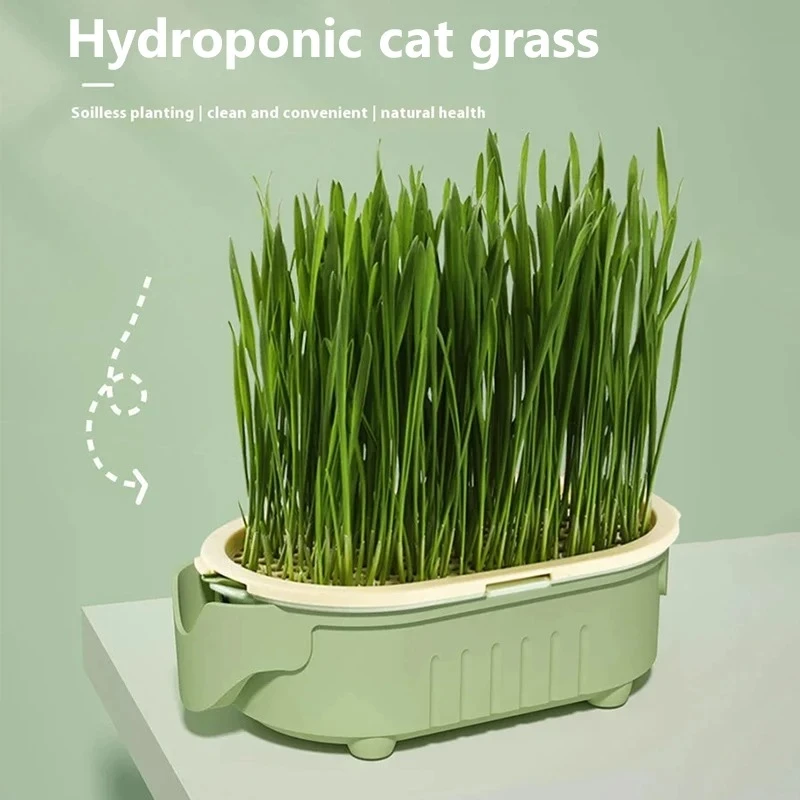 Organic Cat Grass Planter Kit Hairball Relief Natural Digestive Aid Grow Your Own Bowl 1005009159436400