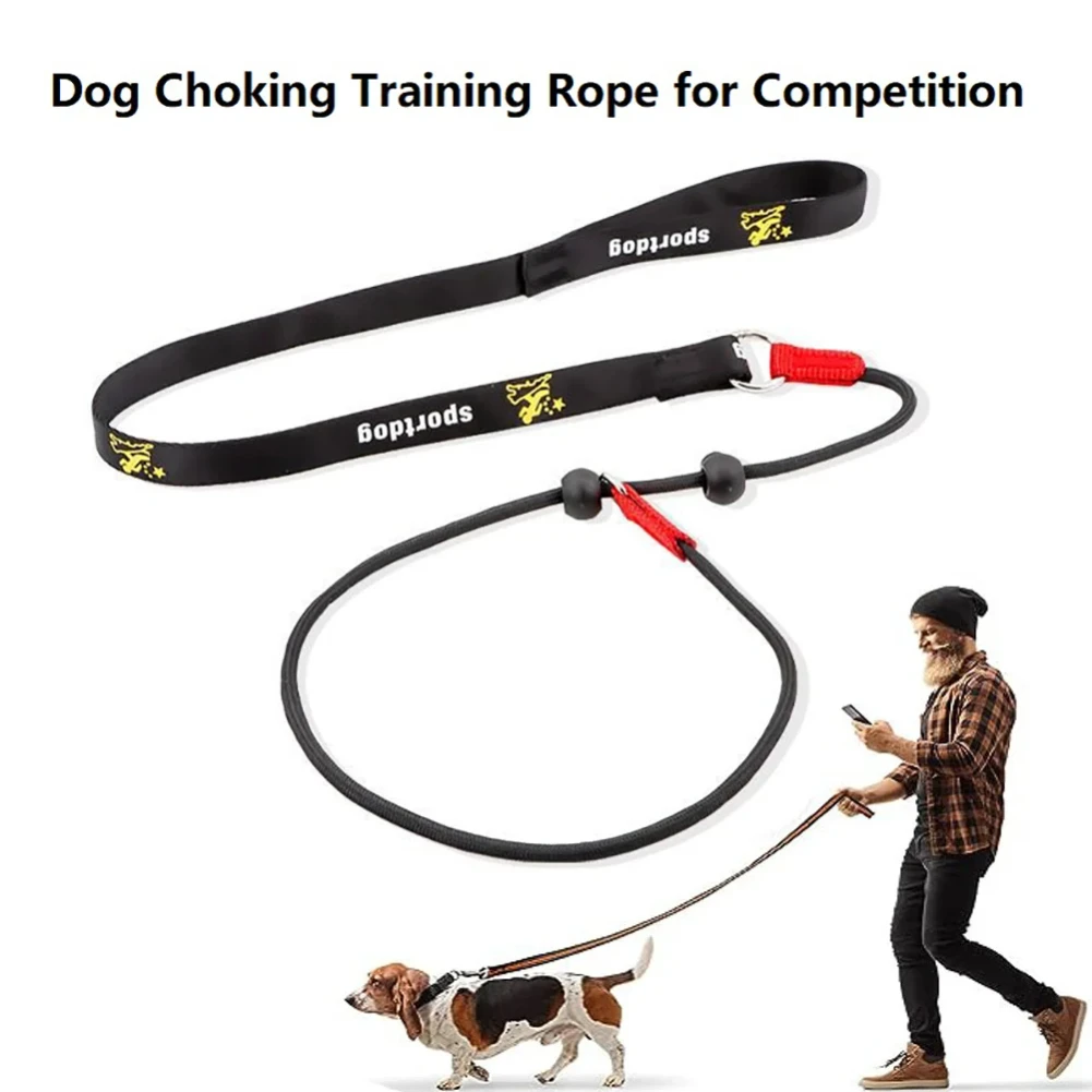 Training Dog Choking Rope Leash 2 in 1 Lead Collar 150cm P-Shaped Chain Slip Control for Small 1005009203546450