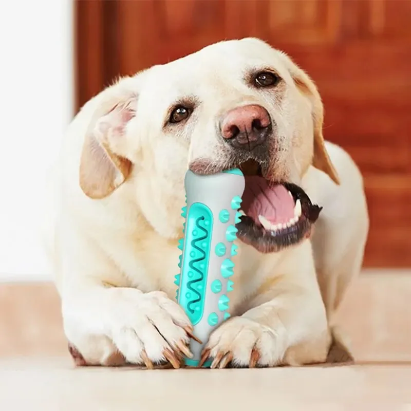 Dog Dental Chew Toys for Teeth Cleaning Puppy Teething Sticks & Chewable Bone Toothbrush (1PCS) 1005009249424339