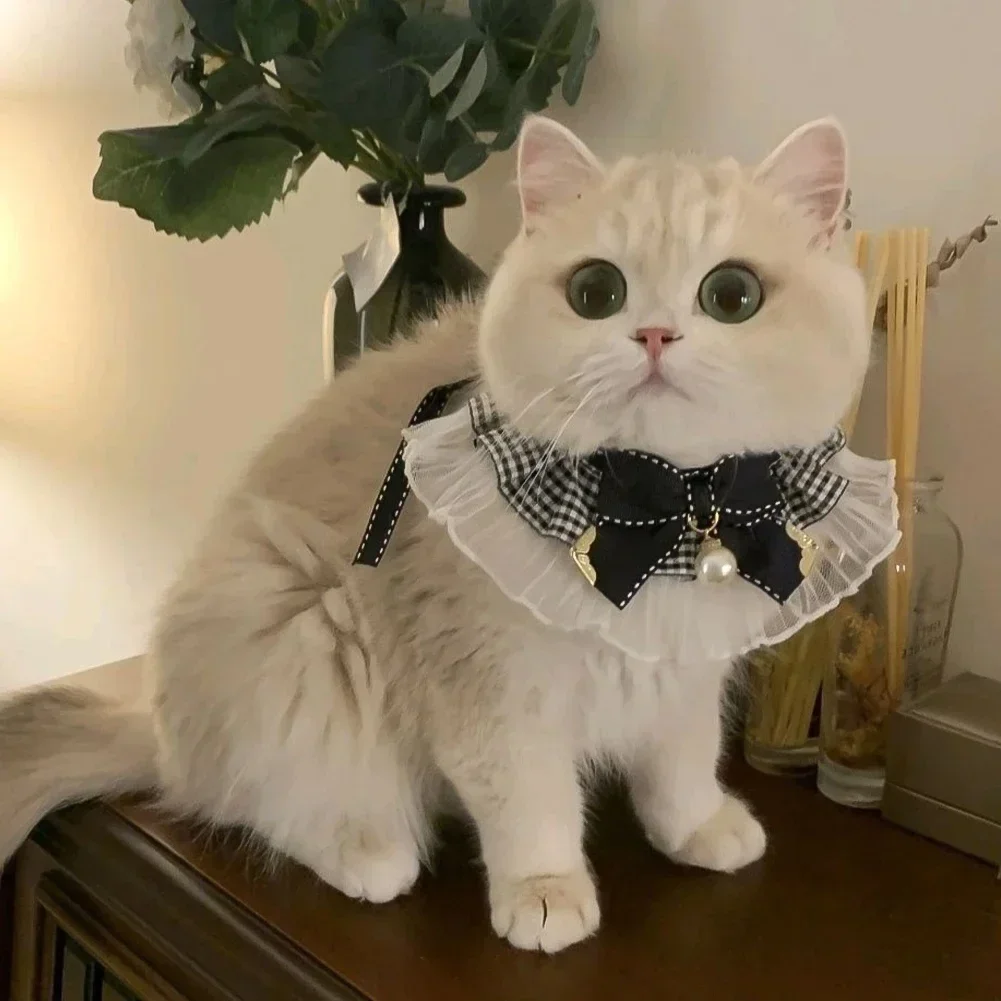 Cute Dog Collar Lace Bowknot Pearl Cat Necklace Sweet Neck Decoration Elegant Gentle Puppy Necktie 1005009255089894