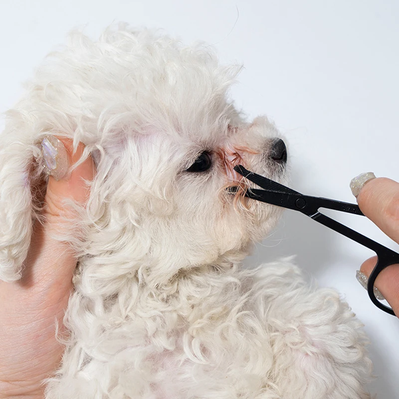 Pet Facial Cleaning Comb Set Removes Tear Stains Eye-Poop Cat Paw Comb Dog Hair Repair Scissors Cat 1005009295846379