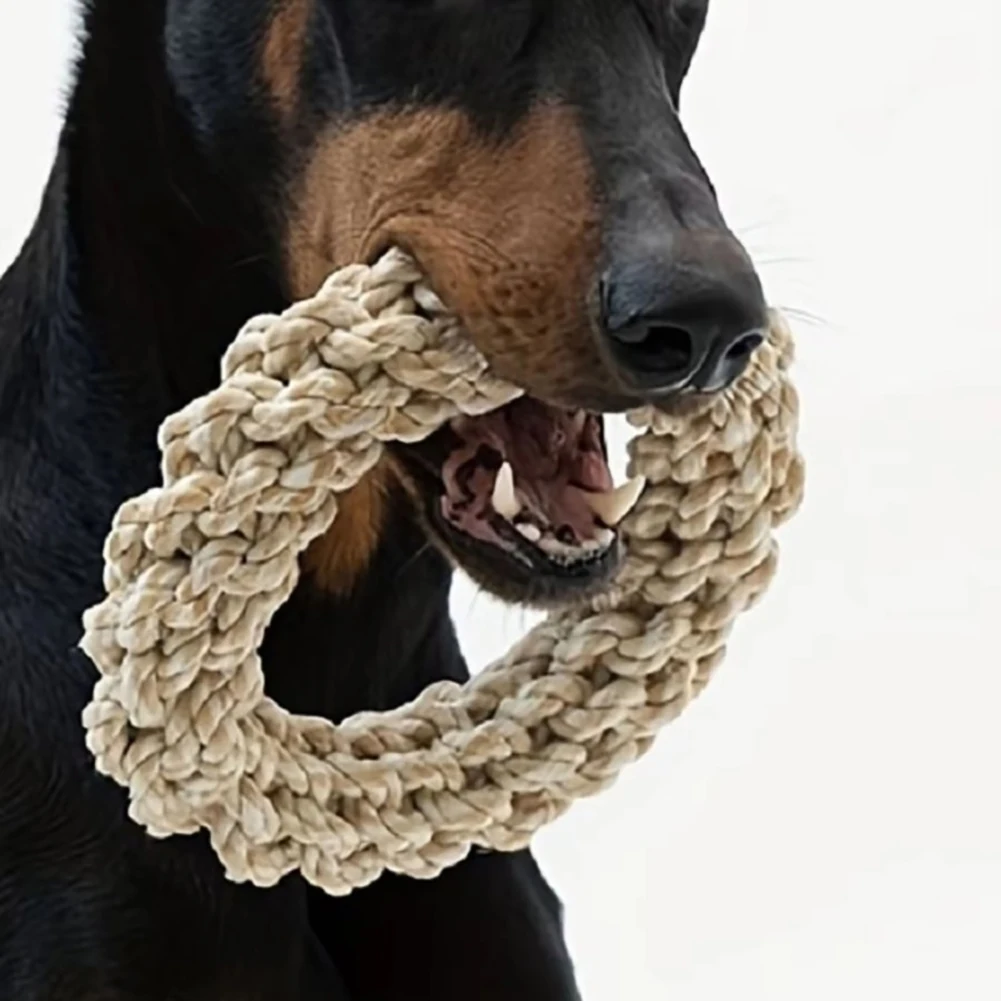 Bite-Resistant Dog Rope Knot Toys Interactive Pet Toys for Medium Large Dogs Colorful Dog Molar Toy 1005009418128206