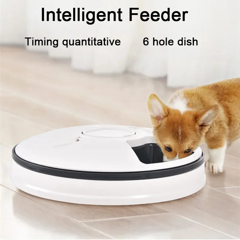 Meal Trays, Digital Timer, Portion Control, with Voice Recorder 1005009500380420