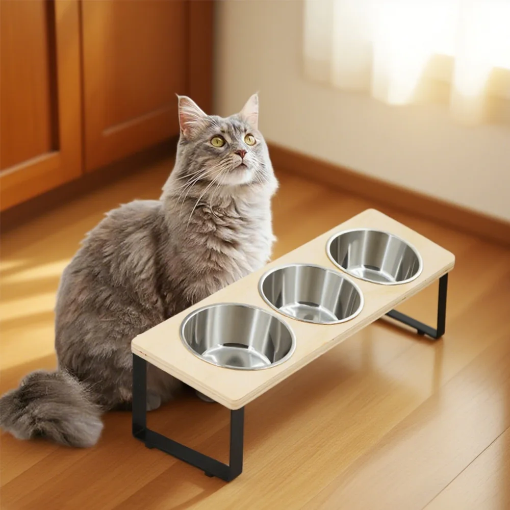 Elevated Cat Bowls with 3 Stainless Steel 15° Tilted Anti-Vomiting Raised Food Bowl for Small Cats 1005009532017277