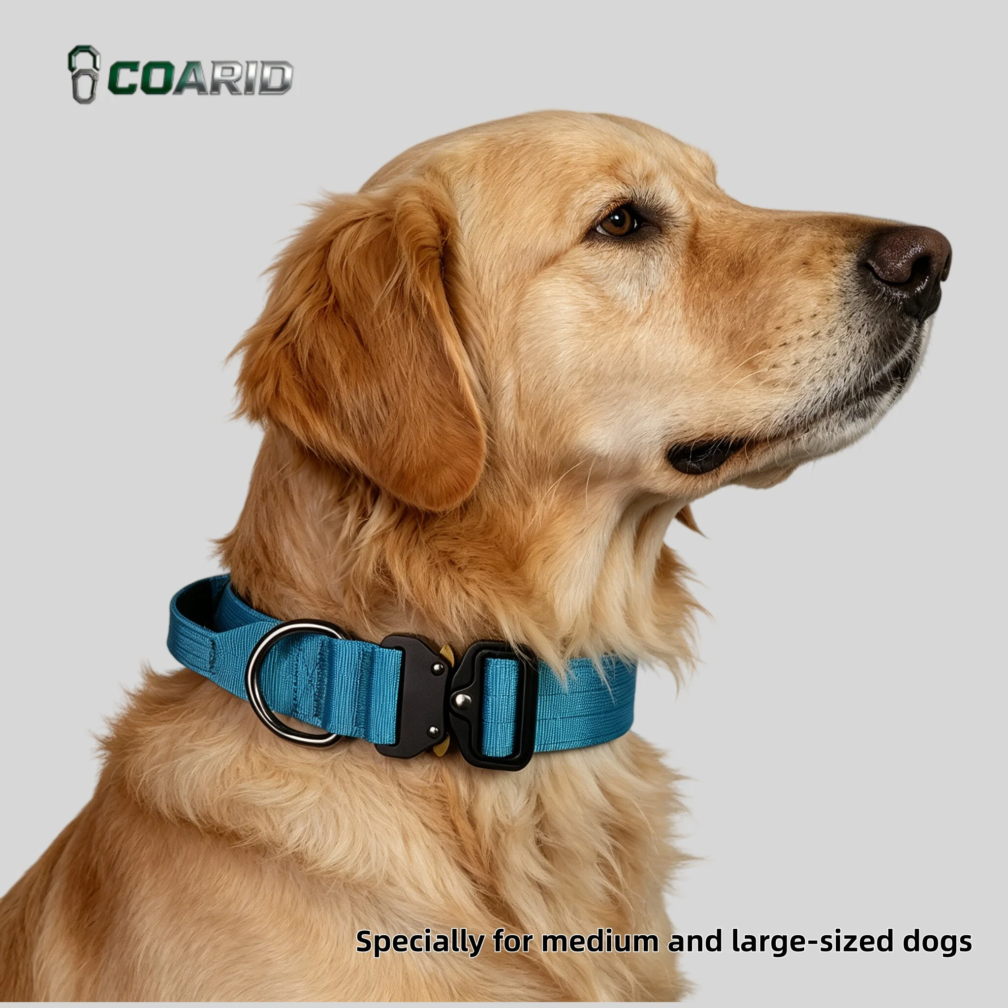 Padded Tactical Dog Collar Heavy Duty, Soft Adjustable Metal Buckle Nylon Pet Collar 1005009614705937