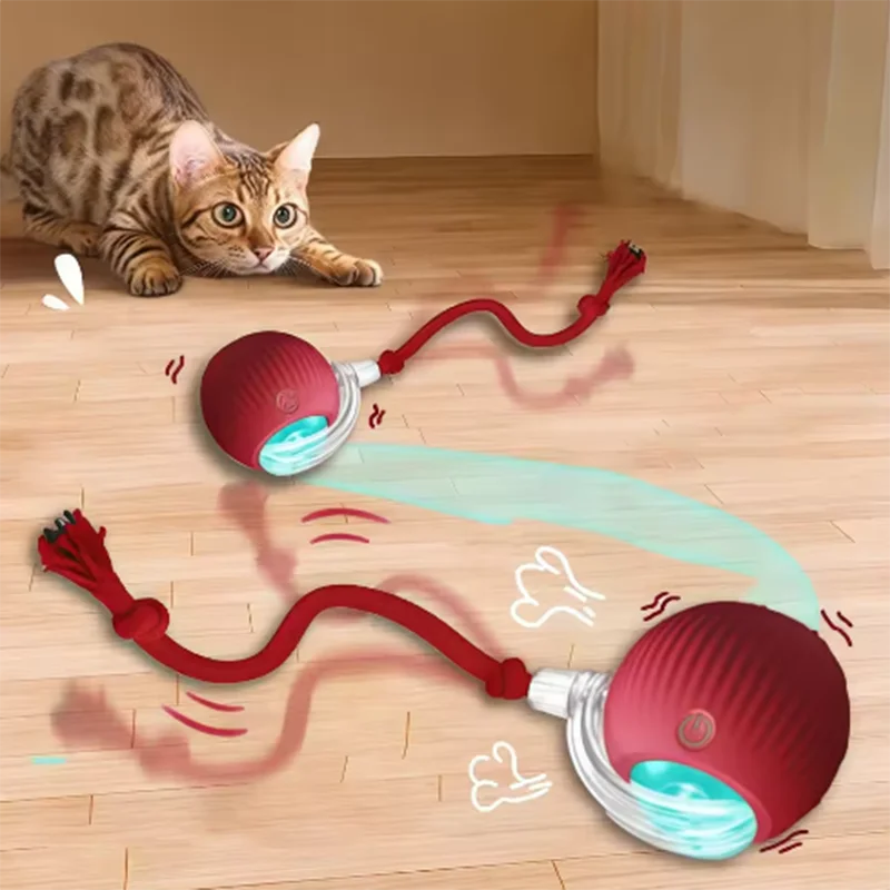 Hot Cat Toys Are Automatically Teasing Cat Balls and Self-Exciting Cat Sticks and Ticks 1005009714104549