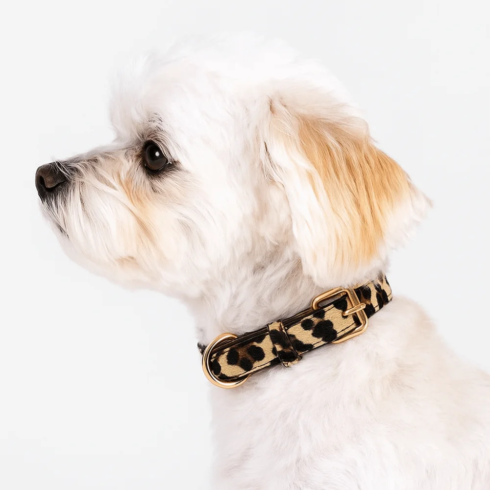 Fashionable Leopard Print Dog Collar PU Leather Wear Resistant Leopard Pet Walking Pet 1005009722813821