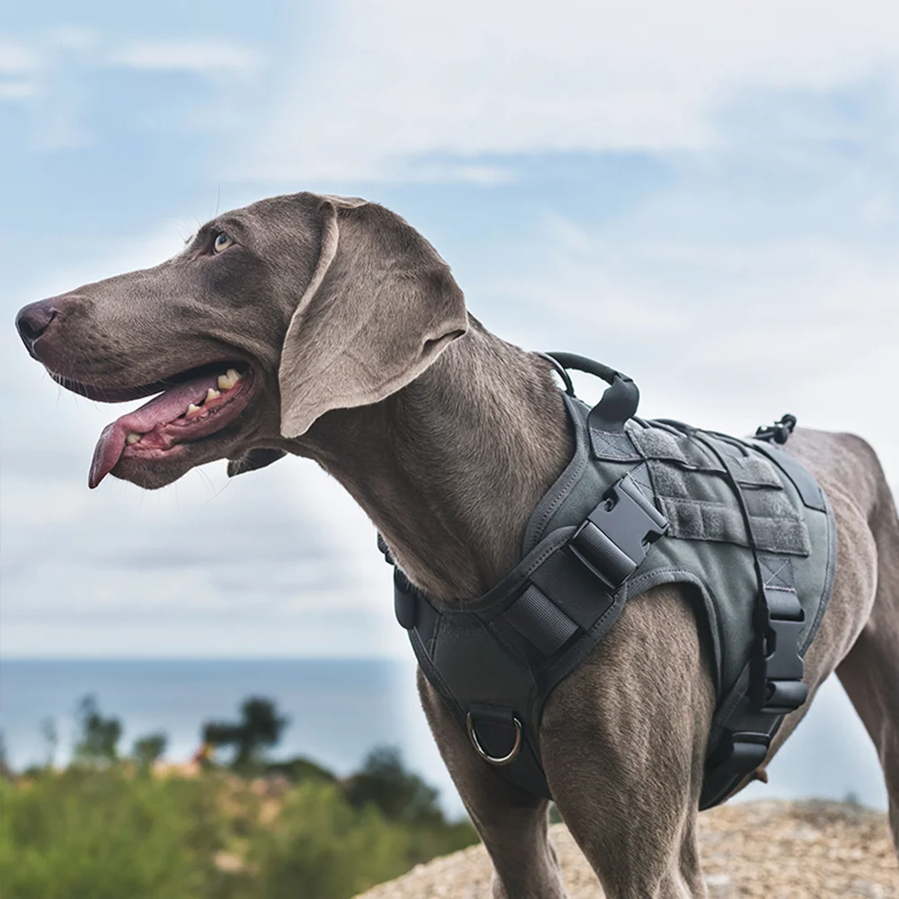 Heavy Duty Tactical Dog Harness 1005009725932738