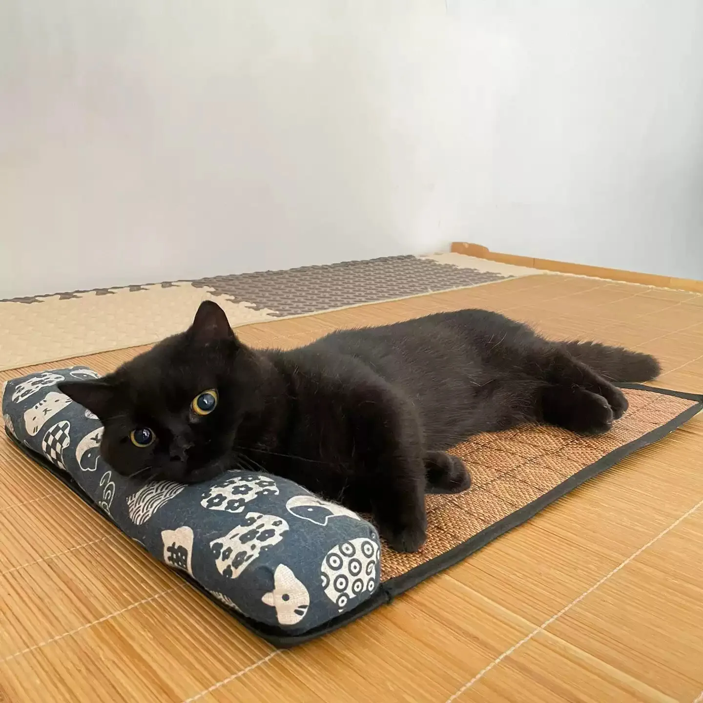 Cat Natural Cooling Mat Summer Pet Self Cooling Pad Cat Bed Mat for Dogs Indoor Rattan Weave Mat 1005009730626722