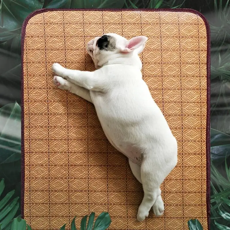 Cats Bed Soft Cushions for Small to Large Cooling Pad Portable Reversible Mat Pet 1005009742091105