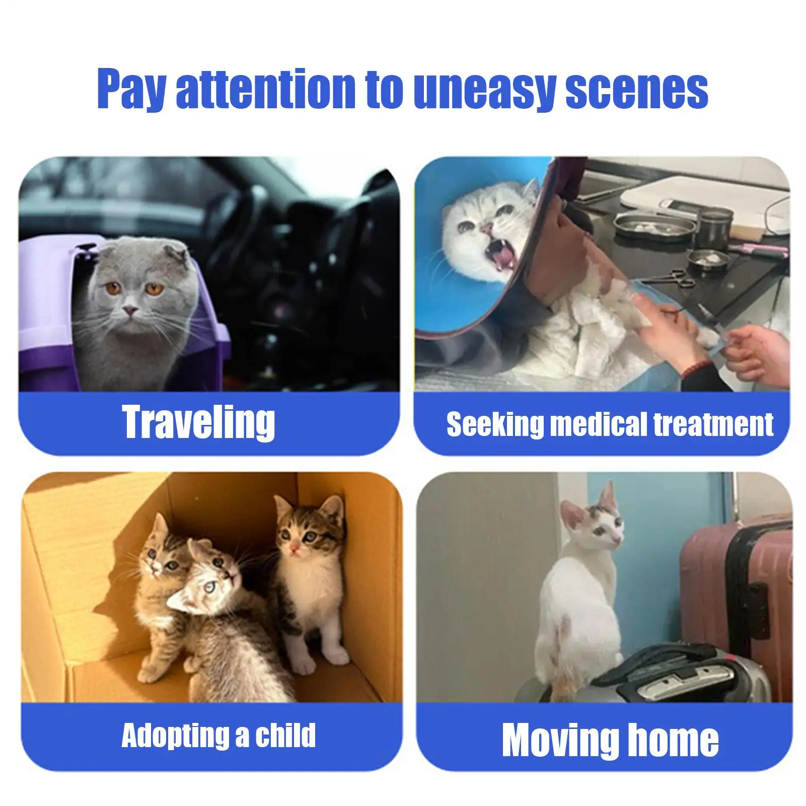 Calming for Cats 6X Fast Release Sedative Patches Kitten Calming Patches Portable Long Lasting Pet 1005009784788223