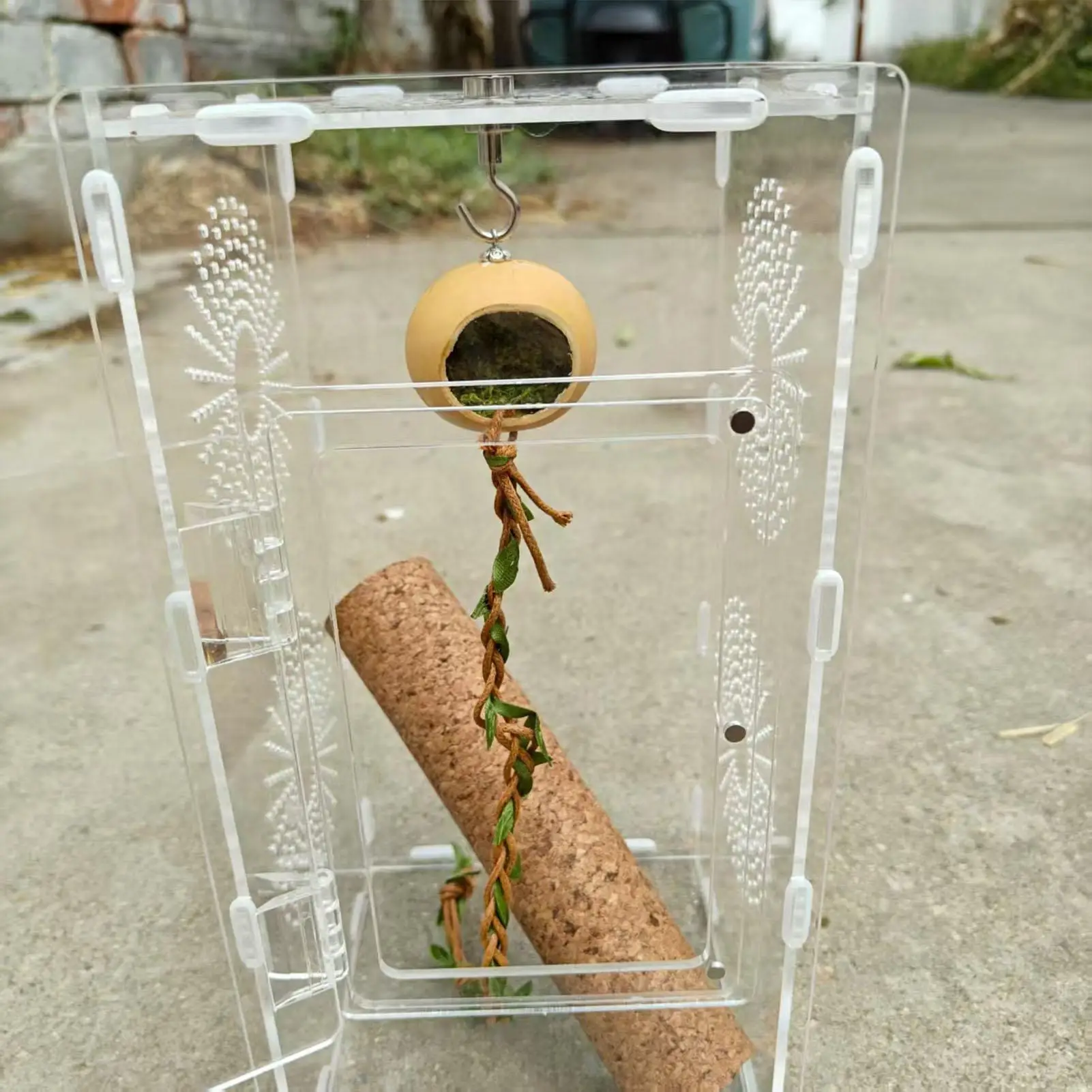 Jumping Spider Enclosure Accessories Climbing Rope Habitat Shelter Decor for Crested Geckos 1005009797624016
