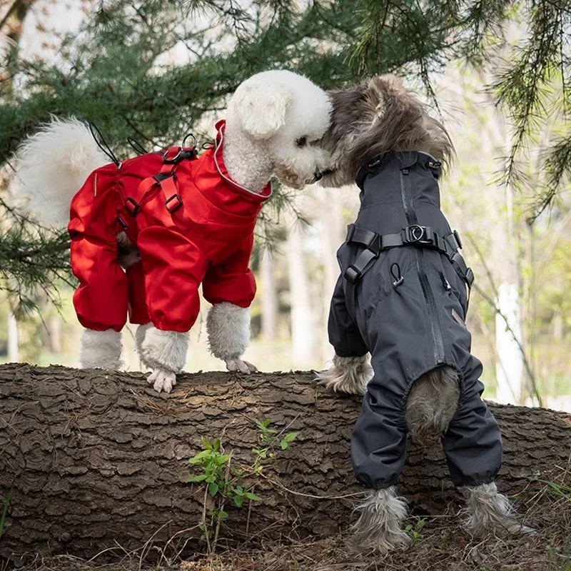 Dog Raincoat with Harness 1005009820343120