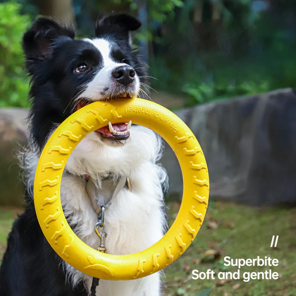 Dog Toy Training Ring Puller Puppy Flying Disk Chewing Toys Throwing Catching Outdoor Interactive 1005009826540279