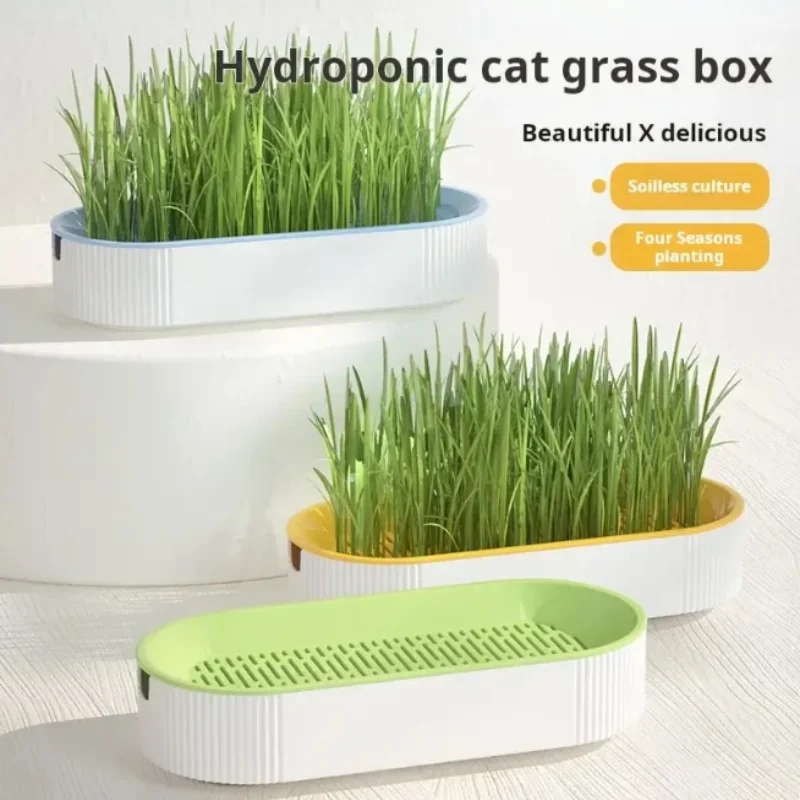 Hydroponic Cat Grass Box Cat Treats Catnip Hydroponic Soilless Planting Pot Set for Easy Growth 1005009919237097