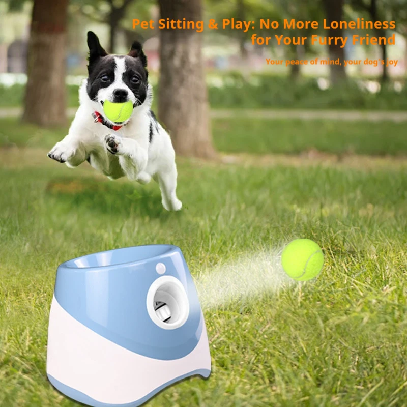 Auto Dog Cat Train Ball Launcher Pets Toys for Dogs Cats Training Playing Toy Fun Tennis Battery 1005009976028959