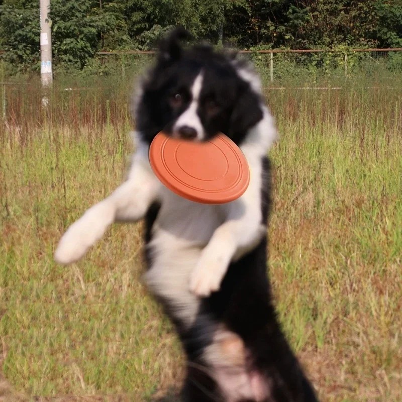 Silicone Flying Saucer Funny Dog Cat Toy Dog Game Flying Discs Resistant Chew Puppy Training 1005009990604767