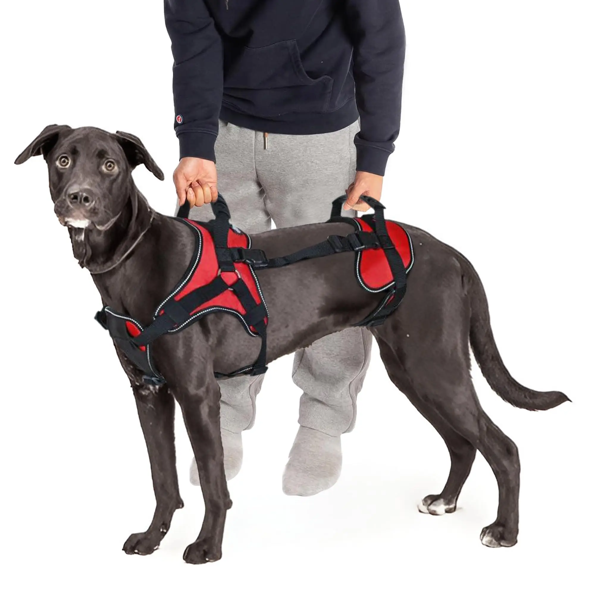 Manufacturer Pet Harness Dog Sling for Back Legs Walk and Travel Lift Straps Large 1005010019455710