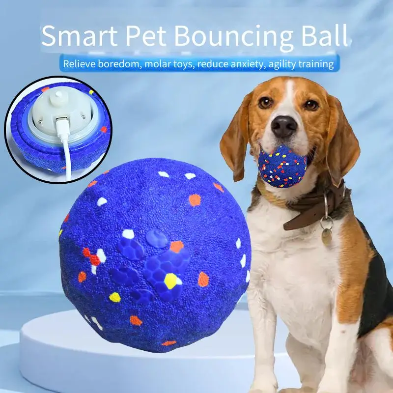 Dog Toy Durable Crew Ball Pet Grinding Teeth Toy for Dog Interactive Supplies High Elasticity 1005010025422398